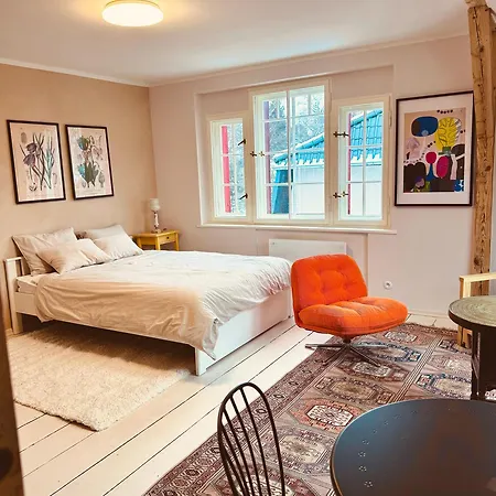 Lägenhet Hilma Rubinstein - W Historycznej Willi *