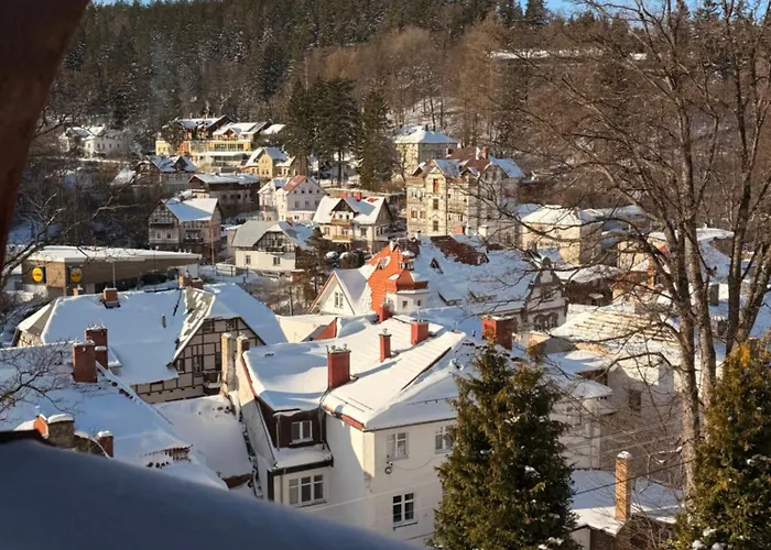 Hilma Rubinstein - W Historycznej Willi Lägenhet Szklarska Poręba